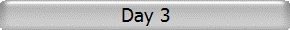 Day 3