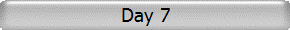Day 7