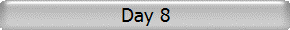 Day 8