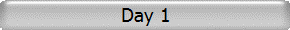 Day 1